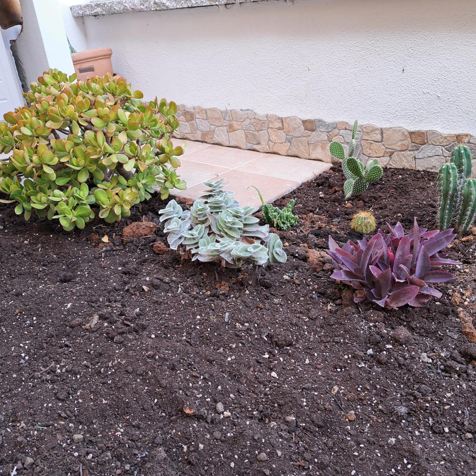 Santa Teresa Gallura Green House エクステリア 写真